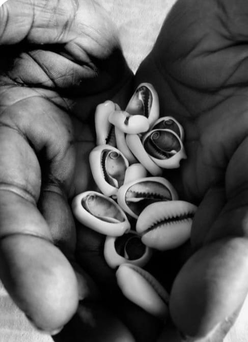 Cupped hands holding cowrie shells